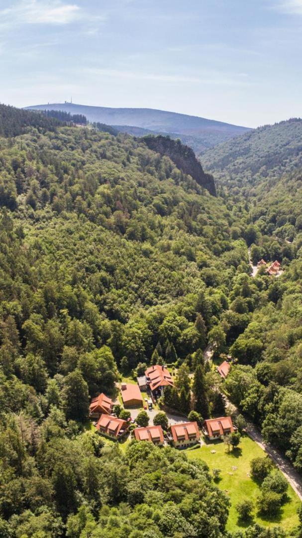 Ferienwohnung Ferienhaeuser Am Brocken, 60 Qm 2 Schlafzimmer Ilsenburg Exteriér fotografie