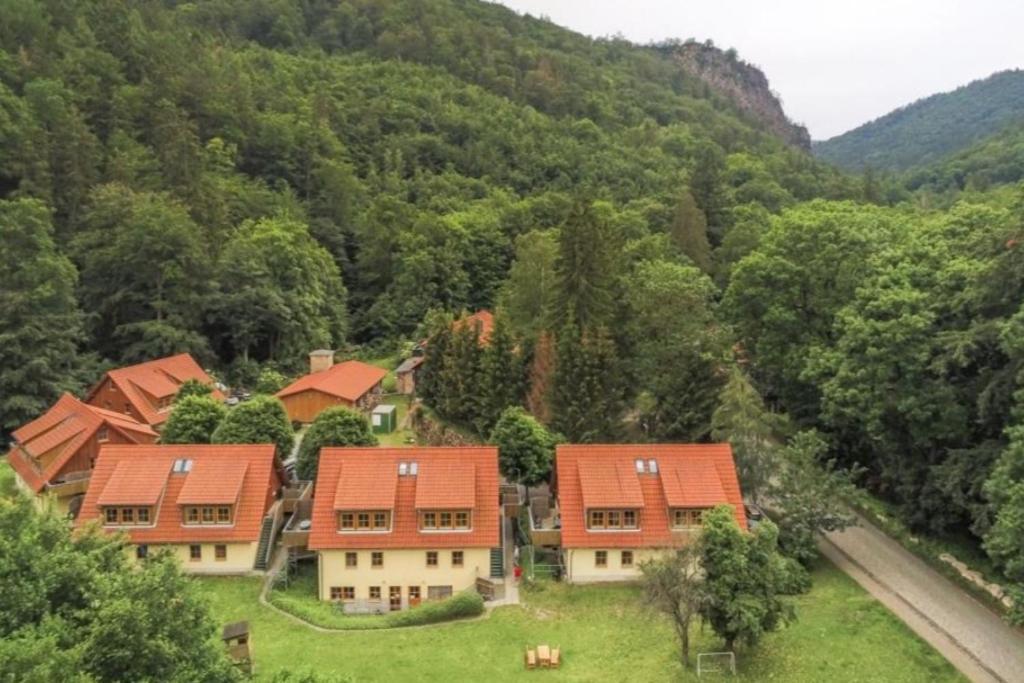 Ferienwohnung Ferienhaeuser Am Brocken, 60 Qm 2 Schlafzimmer Ilsenburg Exteriér fotografie